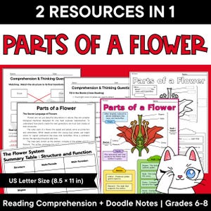 Könnte beinhalten: Bildungsressourcen-Set mit dem Titel 2 RESOURCES IN 1 PARTS OF A FLOWER, bestehend aus Arbeitsblättern mit Diagrammen, Texten und einer Übersichtstabelle. Enthält den Text US Letter Size 8.5 x 11 in und eine Cartoon-Katzen-Illustration.