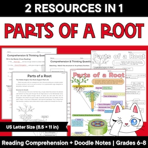 Puede incluir: Conjunto de recursos educativos titulado 2 Resources in 1 Parts of a Root, que incluye hojas de trabajo con diagramas de la anatomía de las raíces de las plantas, secciones longitudinales y transversales, preguntas de comprensión y notas.