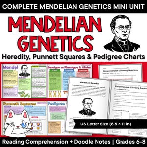 Könnte beinhalten: Eine Mendelsche Genetik-Lerneinheit für die Klassen 6-8 mit einem Porträt von Gregor Mendel, Texten zu Vererbung, Punnett-Quadraten und Stammbäumen. Enthält Arbeitsblätter mit Verständnisfragen im Format 21,59 x 27,94 cm.