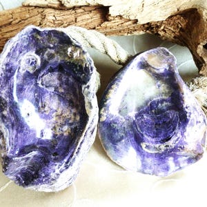 Vintage decorative purple oyster shell, seashell jewelry box, seashell soap dish, bathroom decor, gift for a friend.