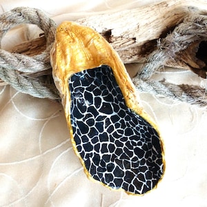 Peut inclure: Un plat décoratif en forme de coquille d'huître avec un extérieur peint en or métallique et une surface intérieure brillante ornée d'un motif animalier noir et blanc rappelant la girafe. La coquille est posée sur du bois flotté et une corde.