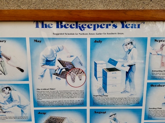 Beekeeper S Year Chart