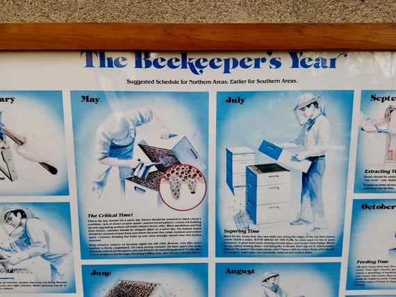 Beekeeper S Year Chart