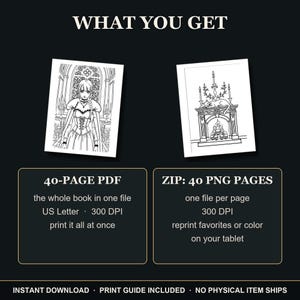 May include: A digital coloring book set featuring two sample pages: one with a person in a gown and another with a cat on a fireplace. Text includes WHAT YOU GET, 40-PAGE PDF, US Letter, 300 DPI, ZIP: 40 PNG PAGES, and INSTANT DOWNLOAD.