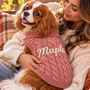 Puede incluir: Un spaniel Cavalier King Charles marrón y blanco lleva un suéter de punto trenzado color rosa empolvado. El suéter tiene cuello y dobladillo acanalados, con el nombre Maple bordado en letra cursiva blanca en el pecho.