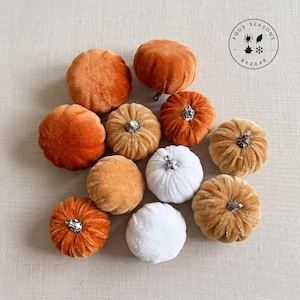 Può includere: Una collezione di undici piccole zucche in peluche dalla consistenza vellutata nei toni dell'arancione, dell'oro e del bianco, ciascuna sormontata da un gambo metallico. Le zucche sono disposte a grappolo e un logo circolare riporta Four Seasons Bazaar.