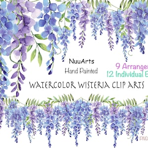 Glyzinien Blumen Clipart, Aquarell lila lila Blumen Clip Art, Blumenstrauß Rahmen handgemalt, 9 Arrangements und 12 lose Elemente