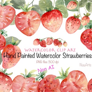 Strawberry Watercolor Clipart Borders and Arrangements - Hand Painted Summer Fruit Clip Art - Red Berry - Small License