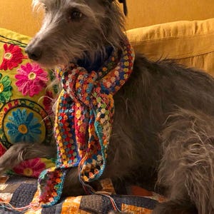 May include: A gray dog wearing a colorful crocheted scarf sits on a patterned quilt. The dog has a serious expression and is looking to the left.