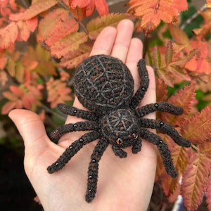 May include: A dark brown crocheted spider toy featuring a textured web-like pattern on its rounded abdomen and thorax. The spider has eight long, segmented legs adorned with small black beads and two prominent, glossy orange eyes on its head.