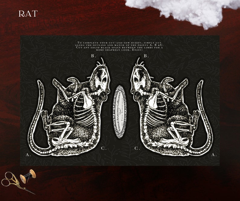 May include: A black and white illustration of a rat's anatomy, featuring a skeletal structure, with the word "RAT" at the top. The image includes instructions for a cut-and-sew project, with points labeled A, B, and C. The background is dark with a subtle pattern.