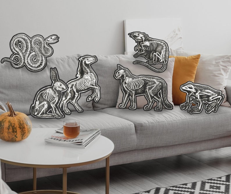 May include: A collection of black and white animal skeleton cutouts, including a snake, rabbit, horse, cat, rat, and frog. The decorations are displayed on a gray sofa with pillows and a pumpkin. A coffee table with a glass of tea and a magazine is in front of the sofa.