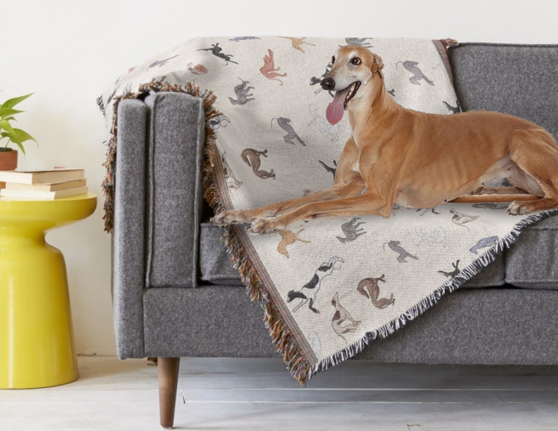 K&ouml;nnte beinhalten: Ein Windhund liegt auf einem grauen Sofa, bedeckt mit einer cremefarbenen Decke. Die Decke hat ein sich wiederholendes Muster von Hundesilhouetten in verschiedenen Farben. Die Decke hat einen Fransenrand.