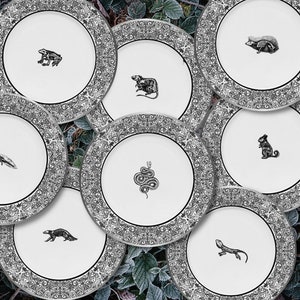 Animal Anatomy Skeleton Gothic Plate Set | Autumn Dinnerware | Elegant Halloween Home Decor | Dark Cottagecore | Alter Plate | Witchy Gifts