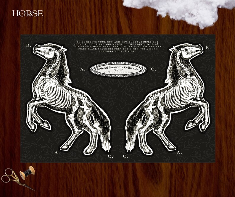 May include: A black and white illustration of a horse skeleton, part of the Animal Anatomy Collection. The image includes text that says "HORSE" and instructions for a cut-and-sew project. The horse is depicted in a rearing pose.