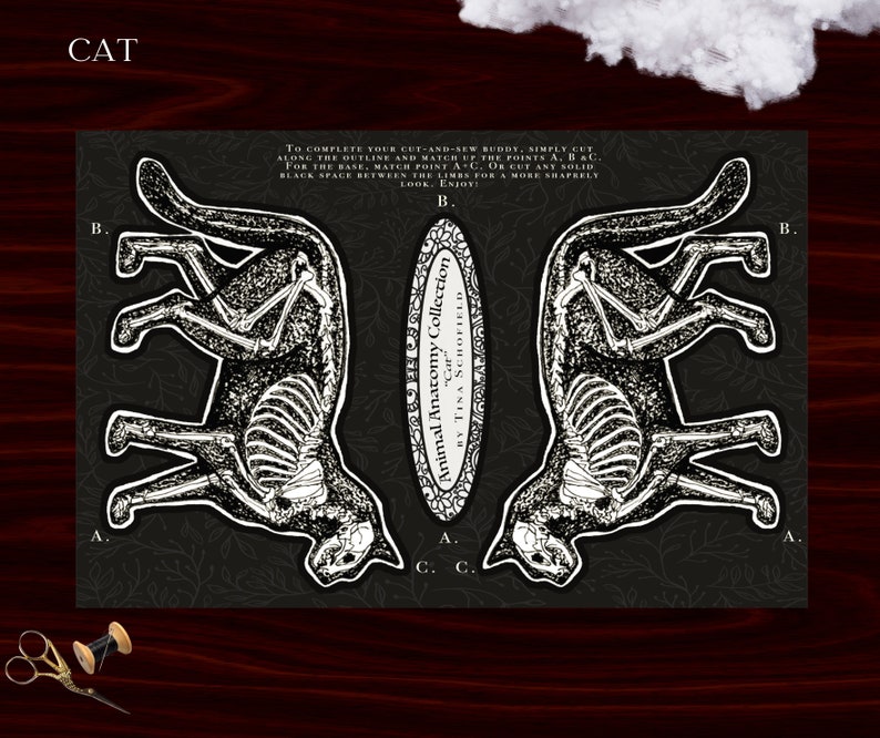 May include: A black and white illustration of a cat skeleton, part of the "Animal Anatomy Collection" by Tina Schofield. The image includes instructions for cutting and sewing the cat outline. The word "CAT" is at the top.
