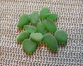 Emerald green seaglass.,Kelly green genuine sea glass beach glass