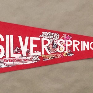 Vintage 'Florida's Silver Springs' FL USA Souvenir Collectible Travel Pennant