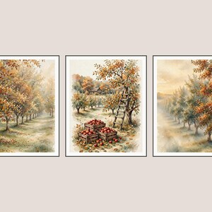 Può includere: Un set di tre stampe ad acquerello incorniciate che raffigurano un frutteto. Le immagini mostrano filari di alberi con fogliame autunnale, cassette di legno piene di mele rosse e una scala di legno appoggiata a un albero dai toni tenui.