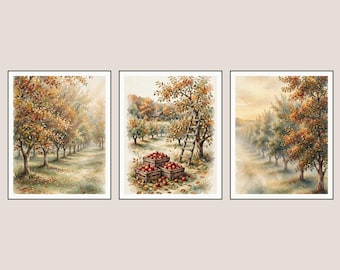 May include: A set of three framed watercolour prints depicting an orchard scene. The images feature rows of trees with autumn foliage, wooden crates filled with red apples, and a wooden ladder leaning against a tree in a soft, muted colour palette.
