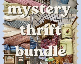 Mystery Thrift Bundle