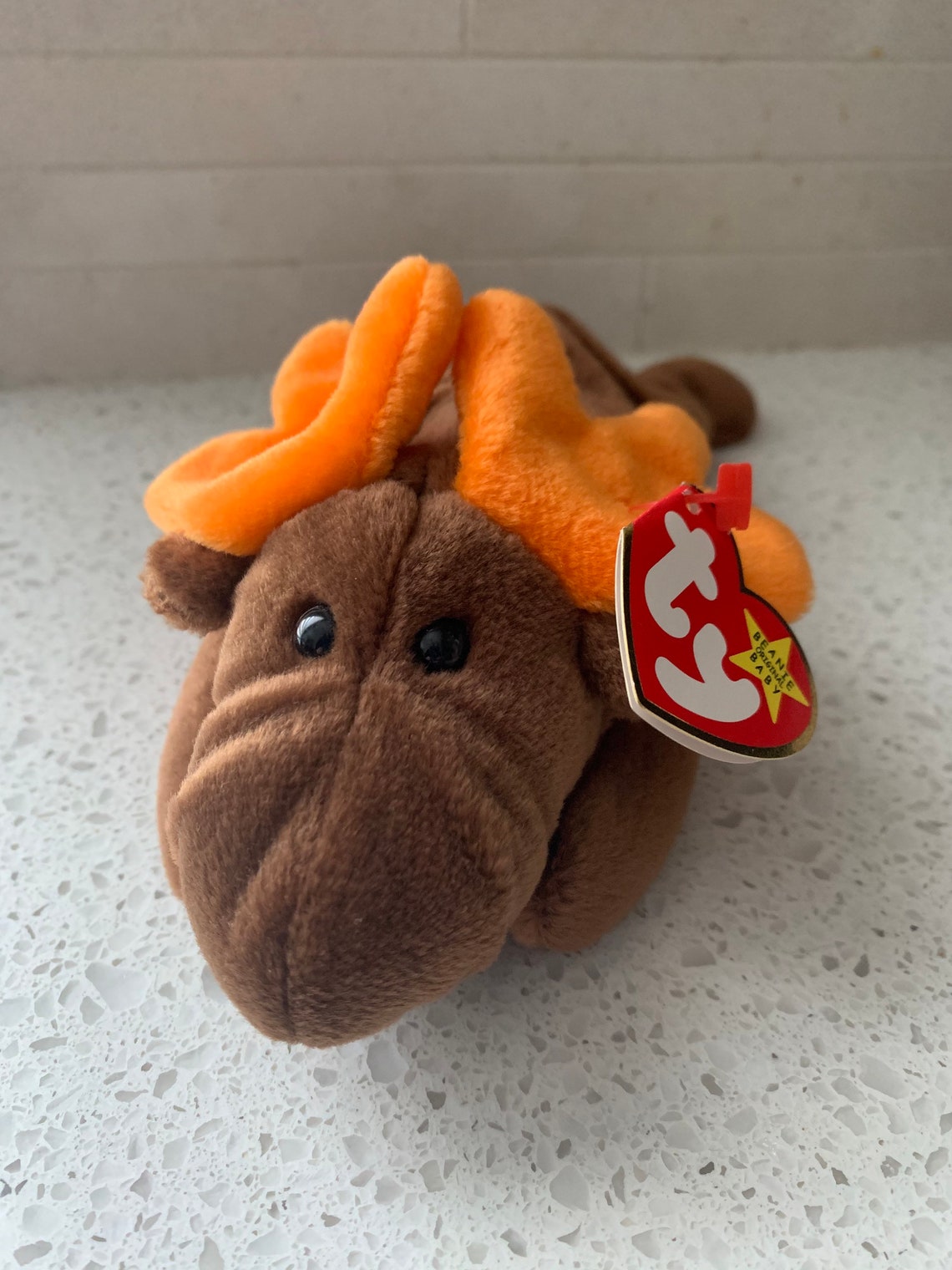 Extremely RARE Chocolate Moose Ty Beanie Baby with Tag Errors | Etsy