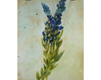 Póster vertical mate con estampado floral de lupinos azules / Decoración de pared con flores silvestres