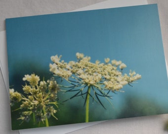 Nature Photography, Greeting Card, Original Photography, Queen Anne's Lace, Floral Notecard, Photo Notecard, Nature Photo card,  Frameable