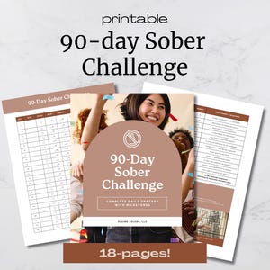 90-Day Sober Challenge Template Sobriety Daily Tracker Sobriety Planner Alcohol-Free Challenge Sober Journal  365 Days Sober included too