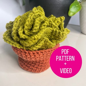 May include: A crocheted succulent plant in a terracotta pot. The plant is green and the pot is orange. The image includes the text "PDF PATTERN + VIDEO".