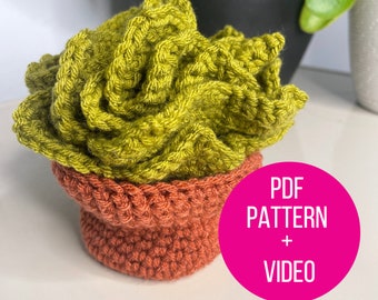 Echeveria Succulent Leaf Crochet Pattern and Video Link + Terra Cotta Pot (PDF and link to Leaf Tutorial) | Leaf Crochet  | Crochet Monstera