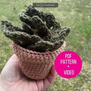 Monstera Leaf Crochet Pattern and Video Link + Terra Cotta Pot (PDF and link to Leaf Tutorial) \ Leaf Crochet \ Crochet Monstera