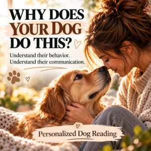 Come capire il tuo cane / Lettura personalizzata del comportamento del cane / Linguaggio del corpo e comunicazione del cane / Perché il mio cane fa questo? / Lettura degli animali domestici