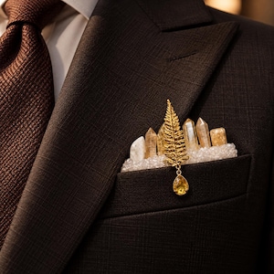 May include: A dark brown suit jacket with a white shirt and a textured brown tie. A pocket square accessory features a row of clear and yellow crystals, a gold-toned fern leaf pin, and a dangling yellow teardrop-shaped gemstone charm.
