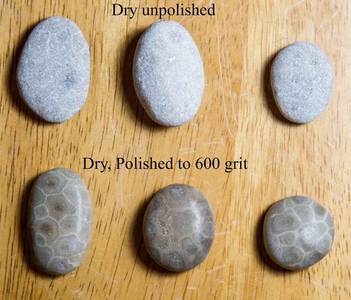 Petoskey Stone Polishing Kit free Shipping Etsy
