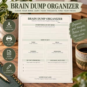 May include: A white paper organiser sheet titled Brain Dump Organiser with sections for Everything On My Mind, Sort It Out, Tasks, Ideas, Worries, Reminders, My Top 3 Priorities, and One Small Next Step with lines for writing.