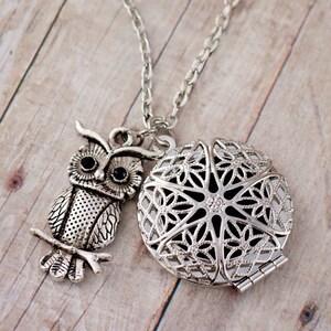 Oil Diffuser Necklace, 30 Oil Pads, Owl Necklace, Aromatherapy Locket, Essential Oil Jewelry, Owl Jewelry, Essential Oil Necklace for Women