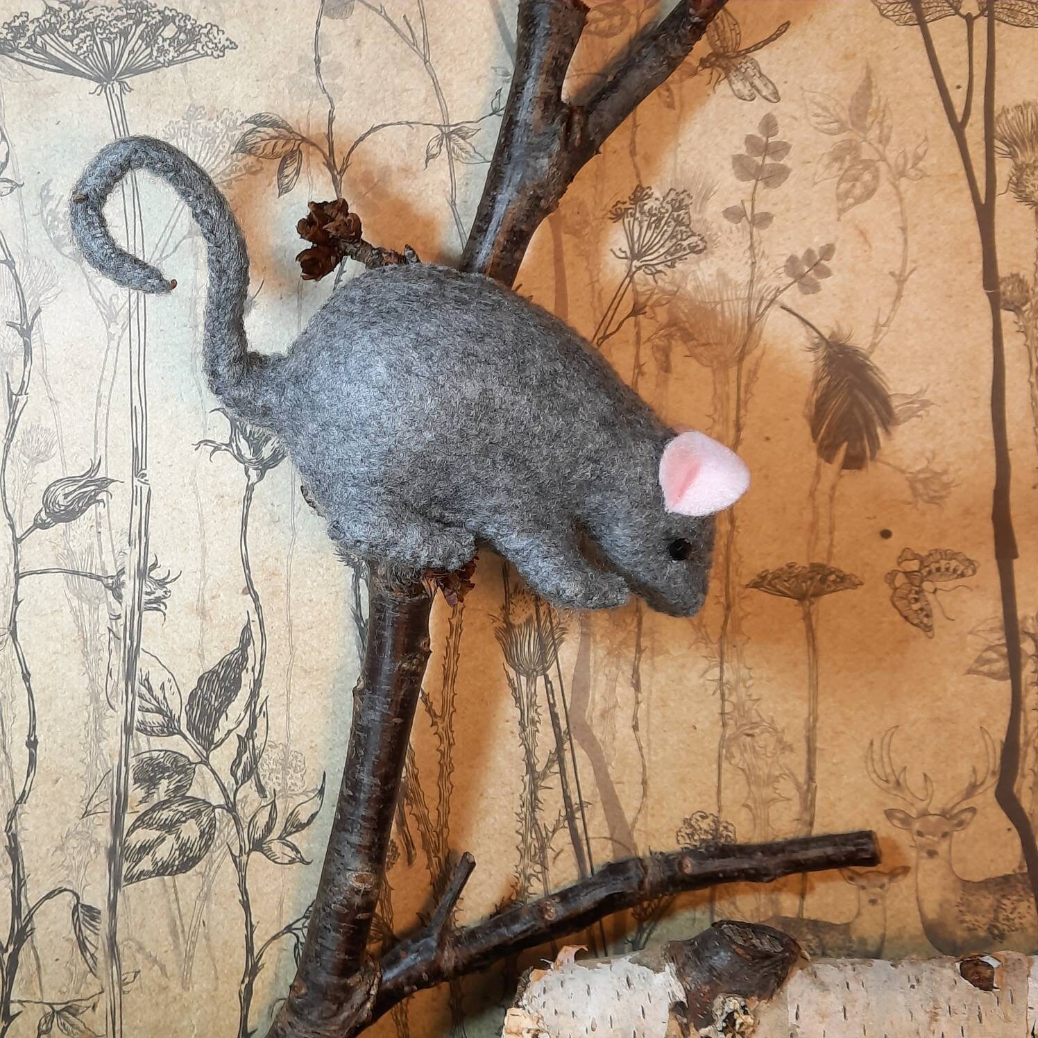 Ring Tailed Possum Craft Kit Etsy Israel