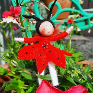 Ladybird fairy