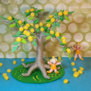 Wattle tree with 2 Wattle babies image 3