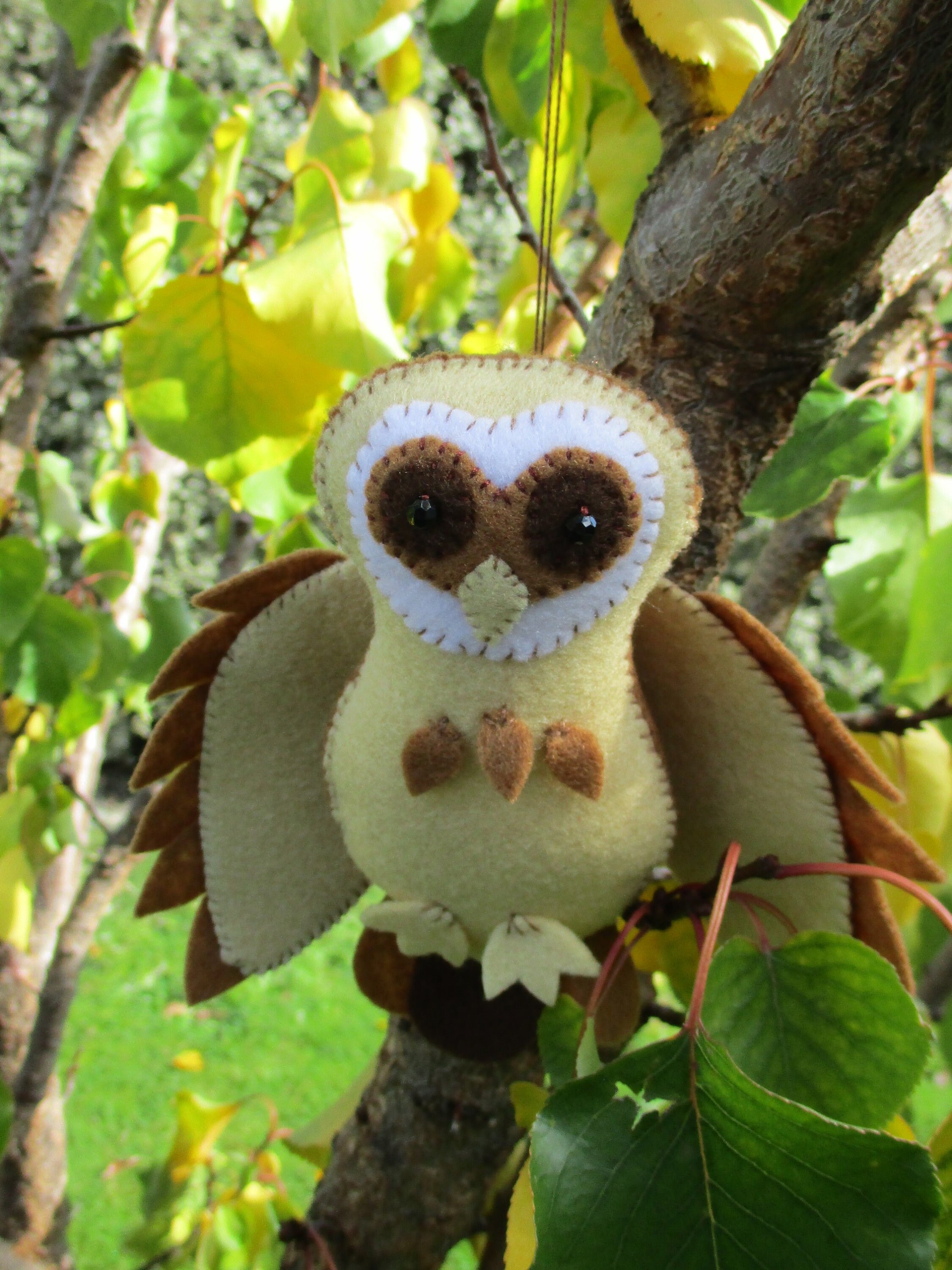 Tasmanian  Masked Owl- craft kit