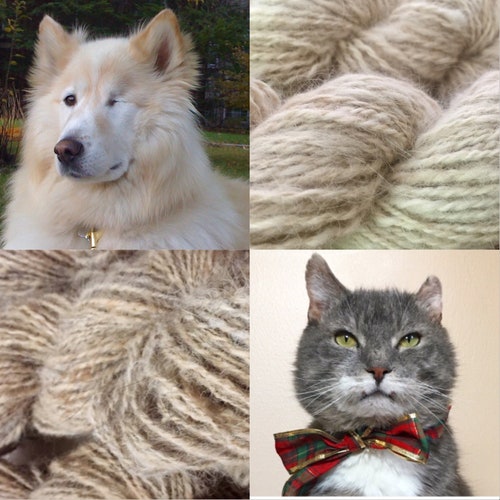 Custom Yarn From Your Pet's Hair Etsy
