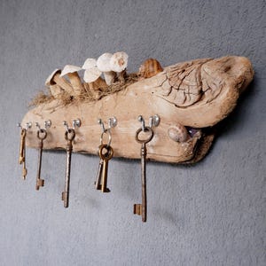 Könnte beinhalten: Ein rustikaler Schlüsselhalter aus Treibholz, verziert mit kleinen Pilzen und einer Muschel. Sechs antike Schlüssel hängen an silbernen Haken. Das Holz hat ein natürliches, verwittertes Aussehen, montiert an einer grauen Wand.
