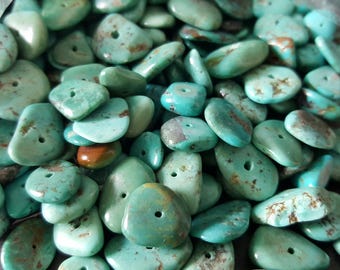 Real Chip Turquoise