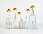 Vintage / Antique Glass Apothecary Bottles set of 5 small bottles light green clear medical jars yellow golden flower
