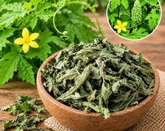 Feuilles de courge amère séchées naturelles, infusion de melon amer (Momordica charantia)