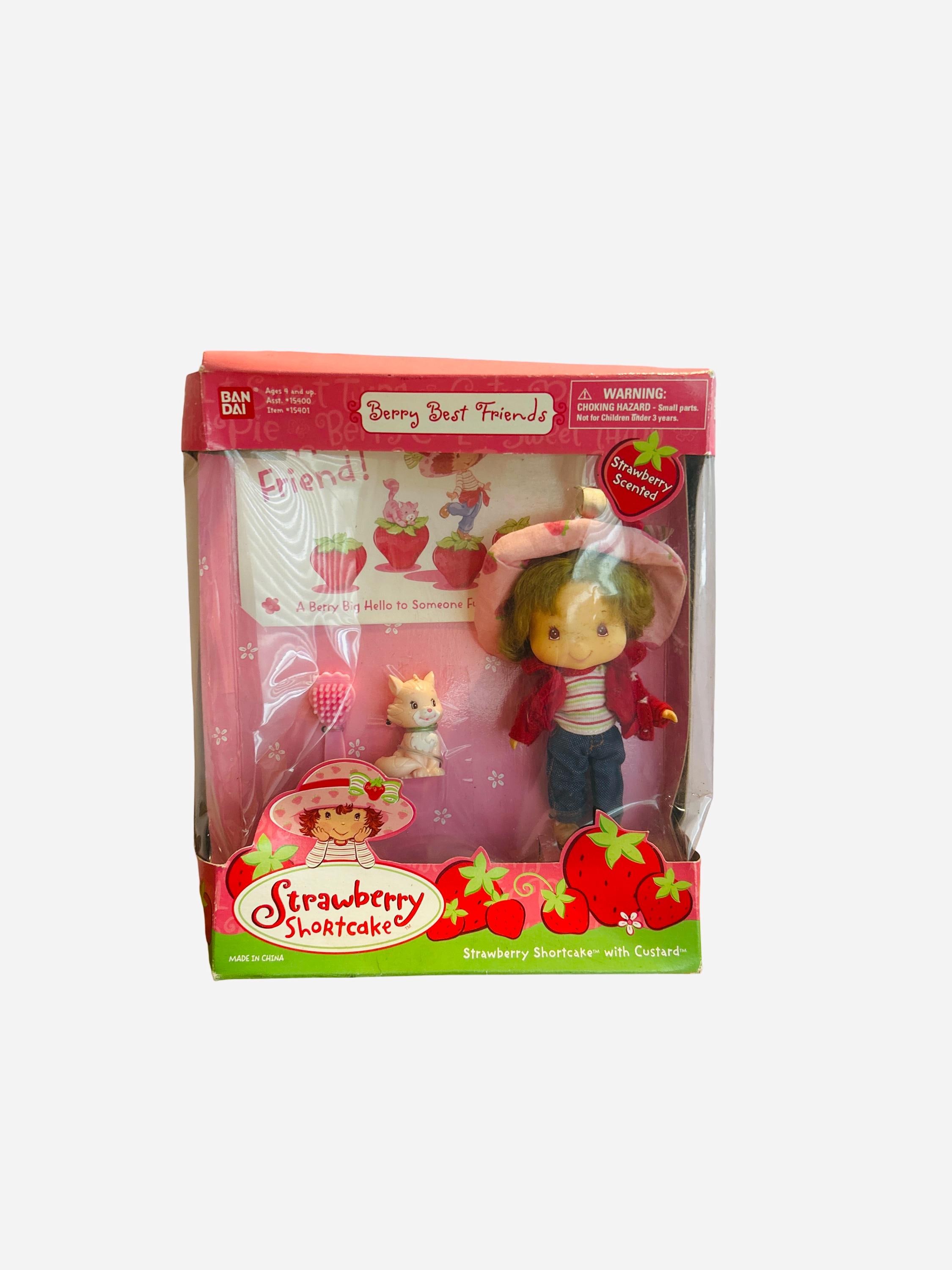 strawberry shortcake2002置物 Vintage Strawberry Shortcake W/custard Berry Best Friends, 2002