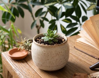 Wabi Sabi Succulentenpot