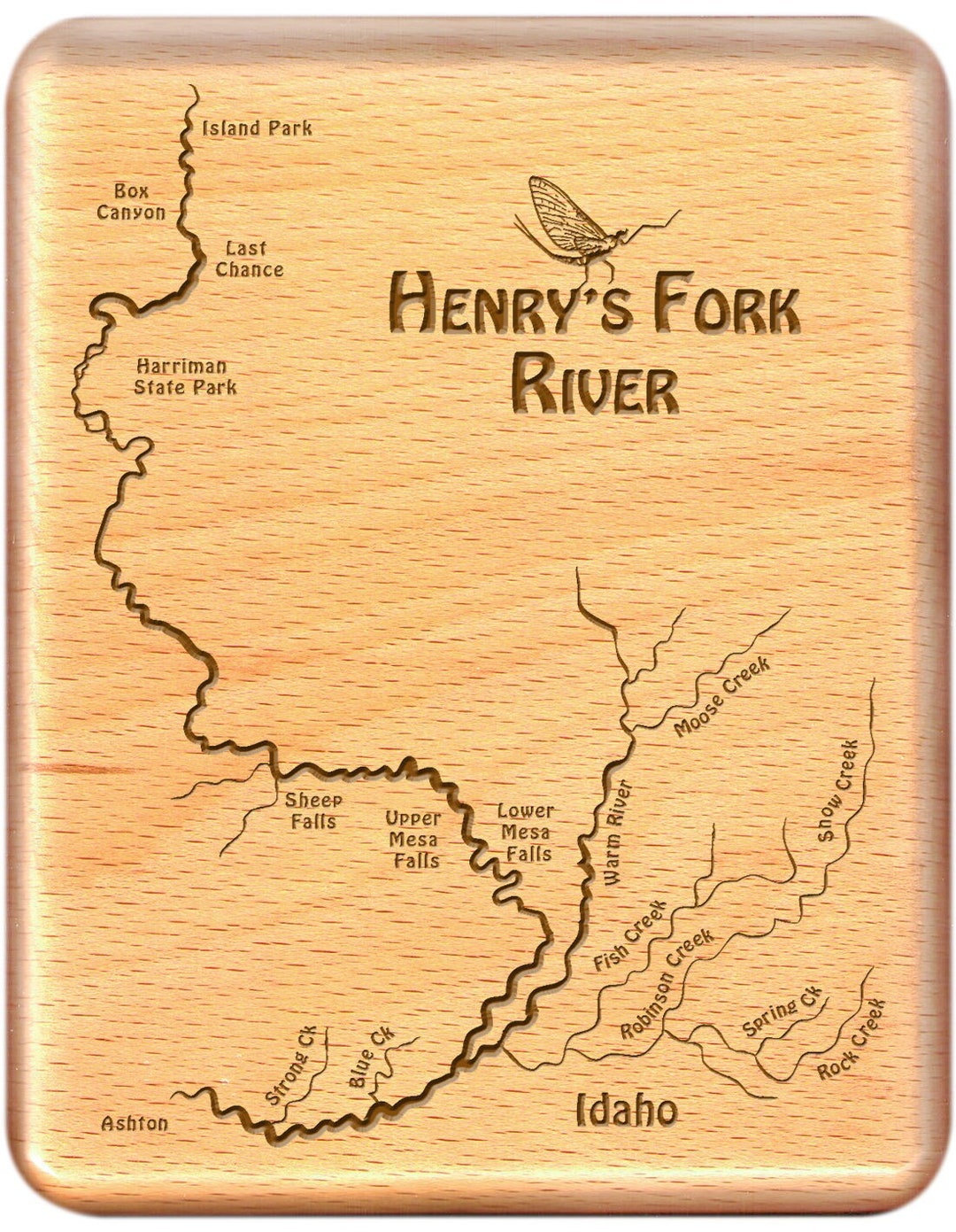 Topographical Fishing Map Of Lake Livingston With