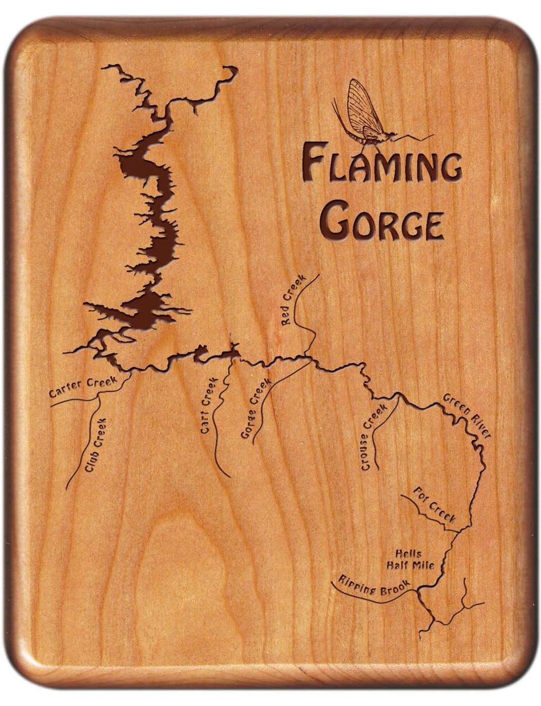 FLAMING GORGE GREEN River Map Fly Fishing Fly Box Custom